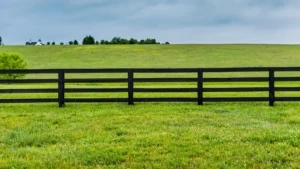 Black four-rail horse fence lining a green pasture under a cloudy sky